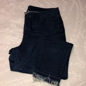 Lane Bryant Denim